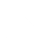 Milestone